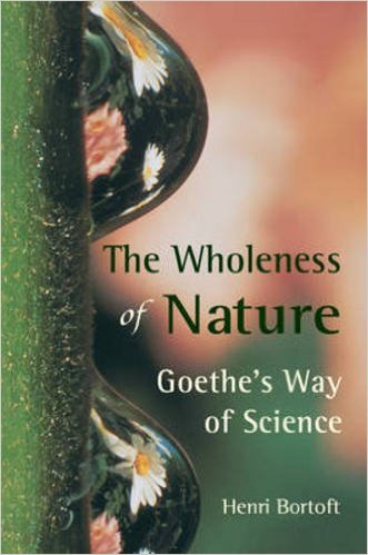 The-wholeness-of-nature